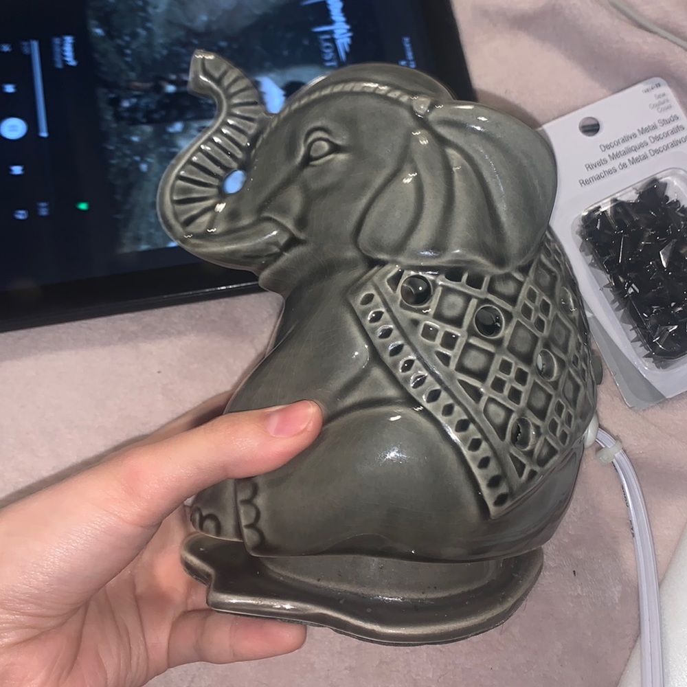 wax warmer